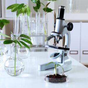 Green plants in biology laborotary