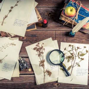 Vintage biology student desk